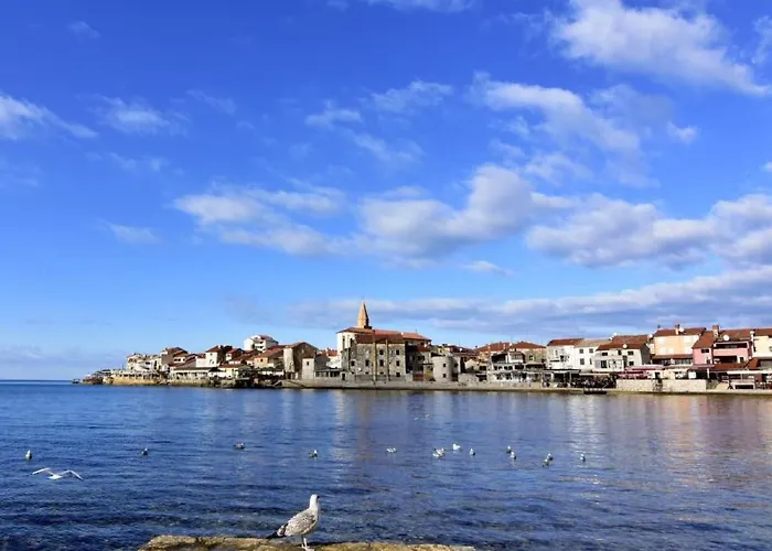 Apartman Dragica- Nahe Und Strand- Mit Wlan By Interhome Umag